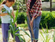 imagen Labores básicas de la jardinería