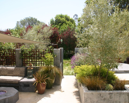 Un jardín mediterráneo en California 3