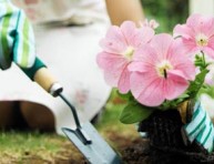 imagen Cómo tener un buen jardín en nuestro hogar