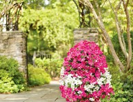 imagen Haz una torre de flores