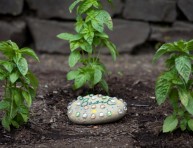 imagen Identificador de cultivo con piedras