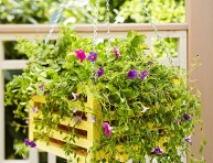 imagen Jardinería práctica: construye tu propia jardinera colgante