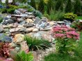 Ideas y consejos para crear jardines de rocas