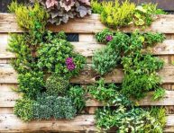 imagen Las mejores ideas para crear tu propio jardín vertical