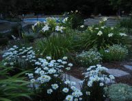 imagen Cómo crear un jardín lunar con flores perfumadas