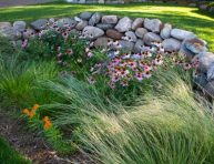 imagen Consejos para crear un jardín de lluvia