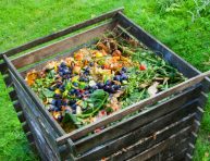 imagen Trucos para hacer un compost saludable