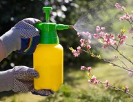 imagen Guía paso a paso para la fumigación de plantas